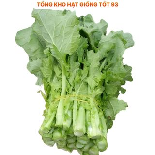 Hạt giống rau cải ngồng su hào 2gram hàng công ty Loại 1