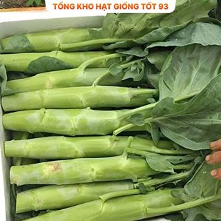 Hạt giống rau cải ngồng su hào 2gram hàng công ty Loại 1
