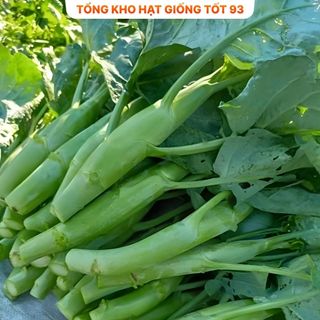 Hạt giống rau cải ngồng su hào 2gram hàng công ty Loại 1