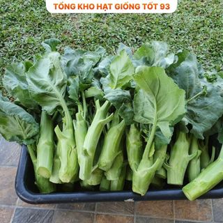 Hạt giống rau cải ngồng su hào 2gram hàng công ty Loại 1