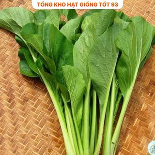 Hạt giống rau cải ngọt xanh năng suất cao hàng công ty Loại 1