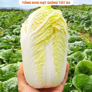 Hạt giống rau Cải Thảo chịu nhiệt (gói 5gram) hàng công ty Loại 1