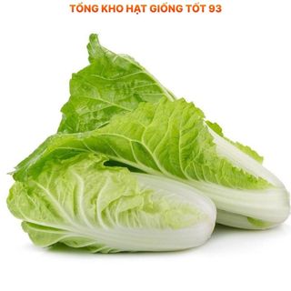 Hạt giống rau Cải Thảo chịu nhiệt (gói 5gram) hàng công ty Loại 1