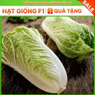 Hạt giống rau Cải Thảo chịu nhiệt (gói 5gram) hàng công ty Loại 1