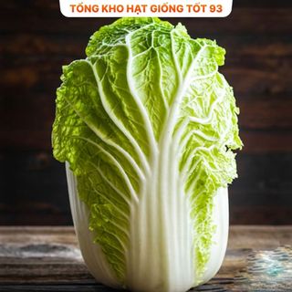 Hạt giống rau Cải Thảo chịu nhiệt (gói 5gram) hàng công ty Loại 1