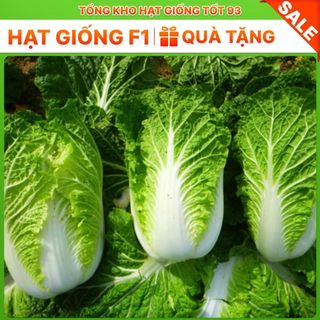 Hạt giống rau cải thảo năng suất 2gram -  hàng công ty loại 1
