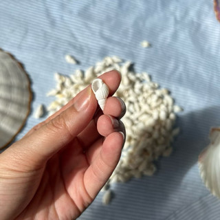 VỎ ỐC GẠO NHẸ TRẮNG MINH TINH LÀM ĐỒ DECOR MỸ NGHỆ HAMDMADE PHỤ KIỆN TRANG TRÍ