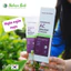 Kem Ngừa Mụn AC Solution Cream Nature Book 50g giảm sưng dưỡng ẩm từ Hàn Quốc