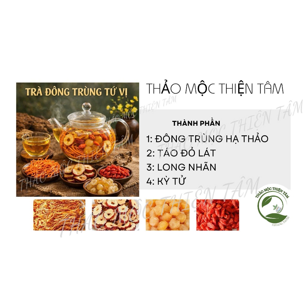 Trà Đông Trùng Tứ Vị - Mua 30 Gói Tặng 3 Gói Và Tặng Thêm 1 Gói Trà Bất Kỳ - Giúp Tăng Cường Sức Khoẻ Tổng Thể - TMTT