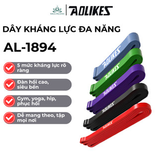 Dây Kháng Lực, Dây Đa Năng Hỗ Trợ Tập Luyện Tập Gym Thể Hình Cao Su Power Band Aolikes- AL3602