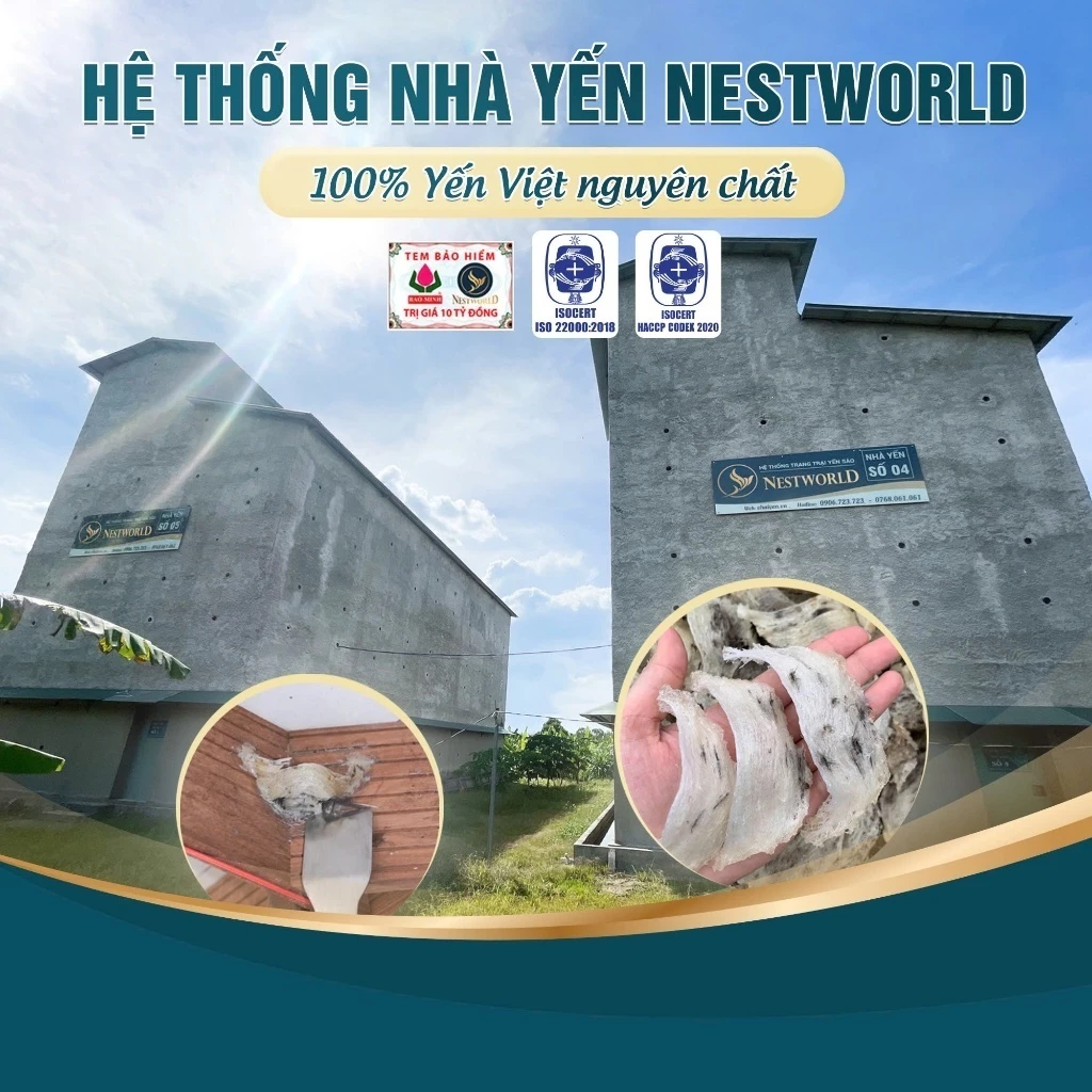 [1 LON] SỮA HẠT YẾN SÀO NESTWORLD MACCA VÀ HẠT SEN