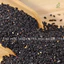 Trà Túi Lọc Ngũ Hắc chuẩn OCOP-ISO-HACCP-Thanh Lọc Cơ Thể, Hỗ Trợ Giảm Cân, Giữ Dáng & Cải Thiện Giấc Ngủ