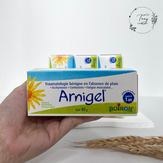 Gel bôi tan bầm Arnigel 45g của Pháp | Giảm sưng và bầm tím