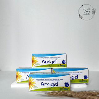 Gel bôi tan bầm Arnigel 45g của Pháp | Giảm sưng và bầm tím