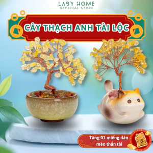 Cây Đá Thạch Anh Giúp Tăng Năng Lượng Tốt, Quà Tân Gia Cải Thiện Phong Thủy & Tích Cực May Mắn