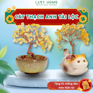 Cây Đá Thạch Anh Giúp Tăng Năng Lượng Tốt, Quà Tân Gia Cải Thiện Phong Thủy & Tích Cực May Mắn
