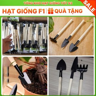 Bộ dụng cụ làm vườn mini 3 món tiện dụng nhỏ gọn dễ dùng trồng hoa, cây cảnh, rau củ quả sạch hàng công ty