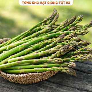 Hạt giống măng tây chịu nhiệt loại năng suất - hàng công ty Loại 1