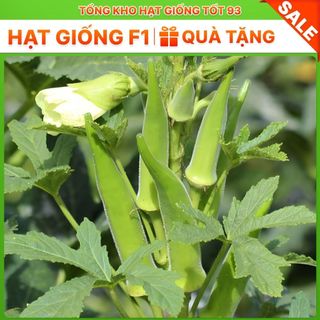 Hạt giống Đậu Bắp Xanh  năng suất cao hàng công ty loại 1
