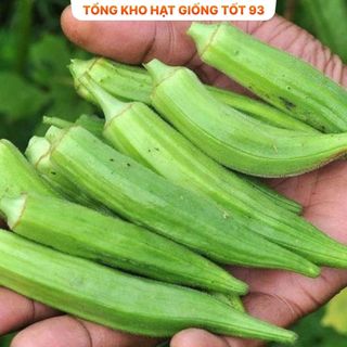 Hạt giống Đậu Bắp Xanh  năng suất cao hàng công ty loại 1