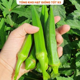 Hạt giống Đậu Bắp Xanh  năng suất cao hàng công ty loại 1