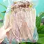 250g Khô mực Thế Giới Hải Sản, khô mực size to, mực khô dày mình ngọt thịt được hút chân không