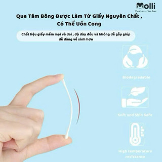 Hộp 200-400 que tăm bông Molli chính hãng