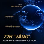 Combo kem dưỡng Phytocin V2 Hybrid Cream & chống nắng FINISH LOTION SPF50+/PA+++ Pharmesthetic CAMUD — ảnh 4