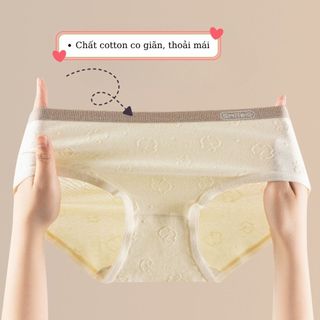 Quần lót nữ cotton cao cấp viền màu bo chun co giãn êm ái thấm hút đáy lót kháng khuẩn DEVARI LY01