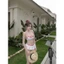 SET BIKINI MIX HOẠ TIẾT HOT TREND 2026 – SET BƠI NỮ NGỌT NGÀO, FORM NÂNG NGỰC + QUẦN VÁY BÈO (ẢNH THẬT)