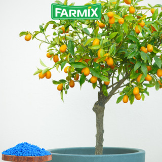 NPK 30-10-10 Gold Farmix – Dinh Dưỡng Cao Đạm Giúp Cây Phát Triển Mạnh (Gói 1KG)