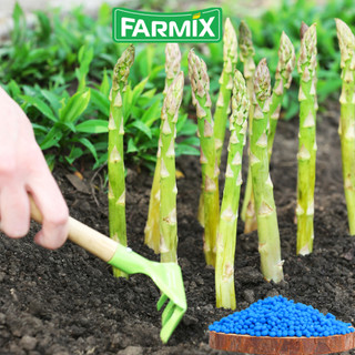 NPK 30-10-10 Gold Farmix – Dinh Dưỡng Cao Đạm Giúp Cây Phát Triển Mạnh (Gói 1KG)