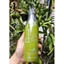 Gel Tạo Kiểu Tóc Xoăn Karseell | Made in China | 500ml