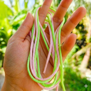Dây cột sữa chua trơn, láng, dai, dễ cột, bền