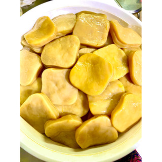 Con Giống Scoby Làm Trà Kombucha - Con Giống Làm Trà Kombucha Kèm 200ml Nước Mồi