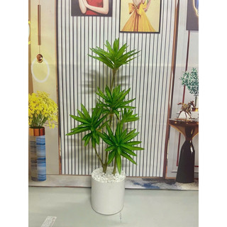 Cây giả-cây Phát lộc-Cây Phát Tài cao 60/90cm trang trí