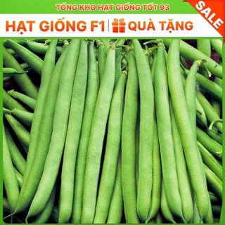 Hạt giống Đậu Cove Leo năng suất cao công ty Loại 1