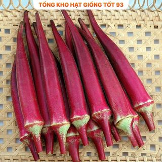 Hạt giống đậu F1 cực dễ trồng năng suất cao - hàng công ty Loại 1