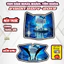 Tem Dán Nhựa Nhám VISION 2014_2019 Giá Sỉ - Sticker Trang Trí Xe Máy Chống Bay Màu.