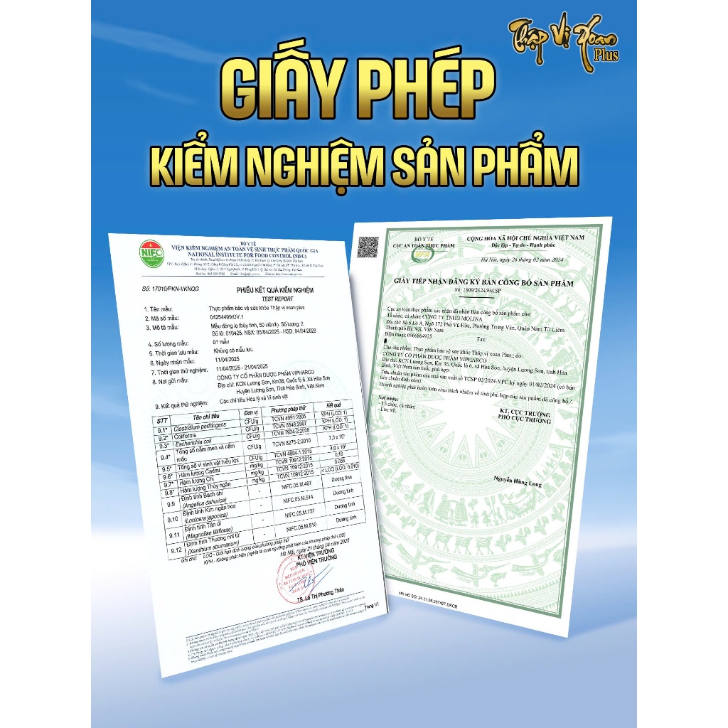 Thập Vị Xoang Plus hỗ trợ các vấn đề về Xoang Mũi Dị ứng