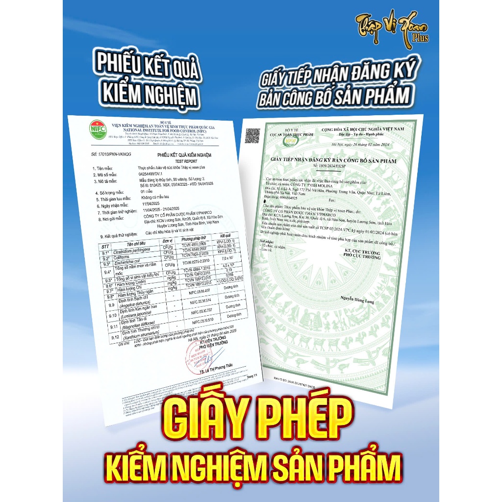Thập Vị Xoang Plus hỗ trợ các vấn đề về Xoang Mũi Dị ứng