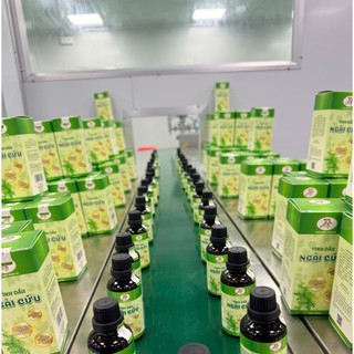 Tinh dầu thảo dược ngải cứu chai 50ml thảo mộc xanh X4 hết đau mỏi vai gáy