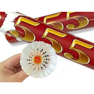 Ống cầu lông 555 10 Quả giá rẻ bền bỉ, Ống/Hộp Cầu Lông 555