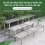 𝐅𝐔𝐑𝐍𝐈𝐒𝐇 𝐅𝐈𝐄𝐒𝐓𝐀 Kệ Bậc Thang Trưng Bày Cây Cảnh Giá Đỡ Cây Nhiều Tầng Chậu Cây Cảnh Kệ Trưng Bày Hoa Cây Cảnh
