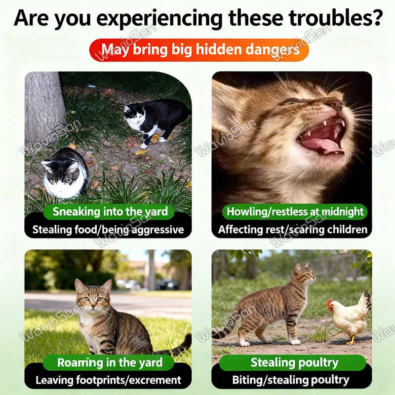 🐕🐈 Bột & thuốc đuổi mèo & chó – Dùng được cả khi mưa, bảo vệ lâu dài, sân vườn, trước nhà, cạnh xe