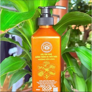 TTTTXH- Sữa tắm thảo dược Hương Hồi Long
