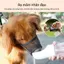 Rọ mõm cho chó chống cắn phá đồ, chống sủa dắt đi chơi