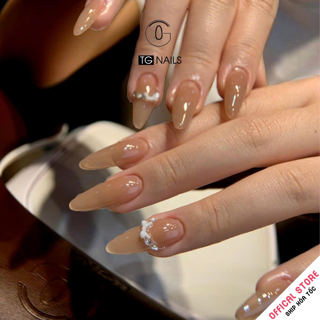 Set sơn gel 12 màu thạch nâu TG - phong cách Hàn nhẹ nhàng