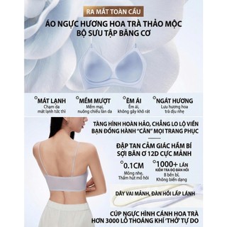 Áo Ngực Mát Lạnh Đi Biển PIER N°5 5103 - Nâng Gom Chống Xệ, Giấu Khéo Mỡ Lưng