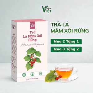 Trà Lá Mâm Xôi Rừng (90% lá) - Túi Lọc - Tốt Cho Sức Khỏe, Cải Thiện Râu, IVF, IUI - Tiệm Trà Việt